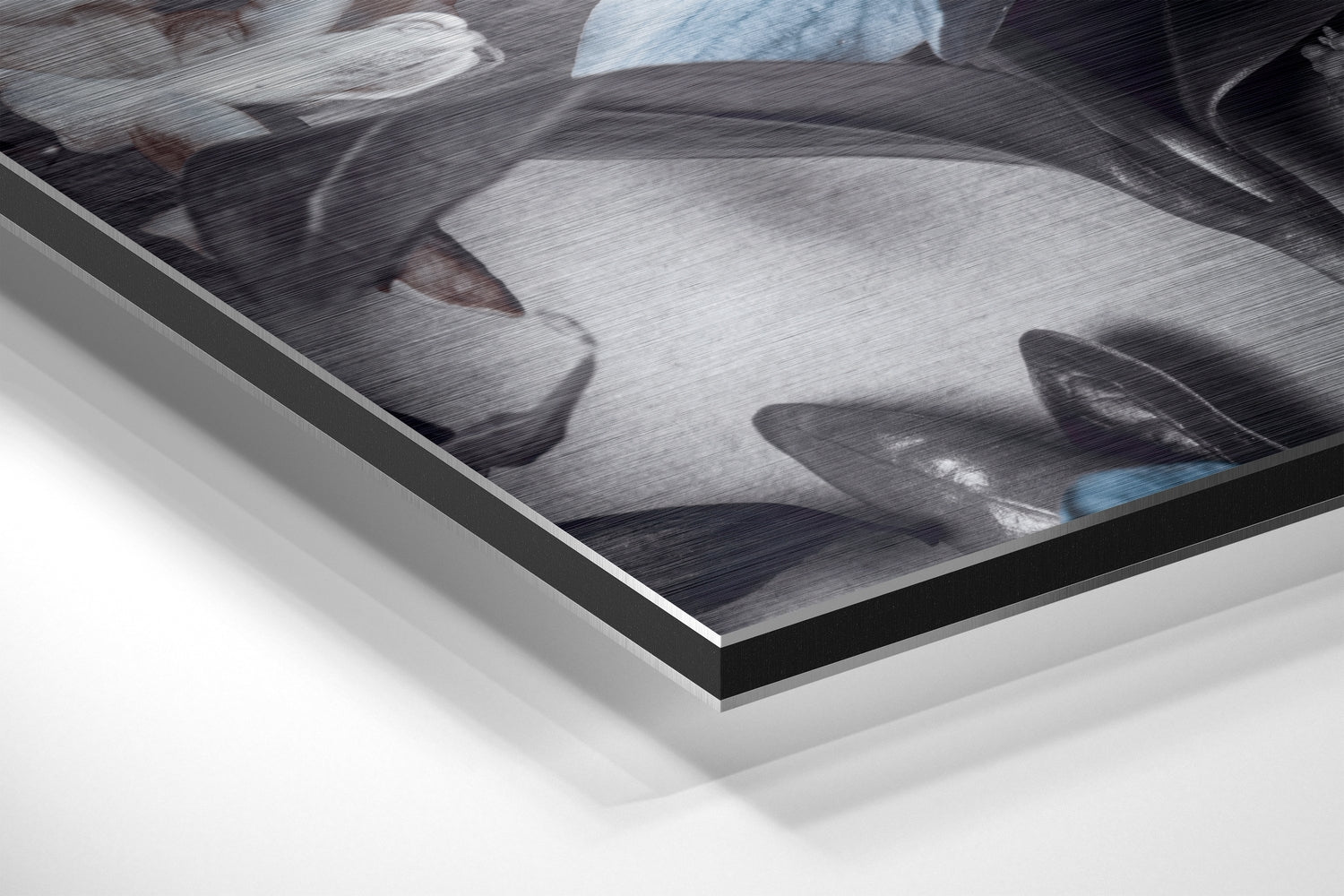 Flowers Brushed Aluminium Dibond Wall Art.