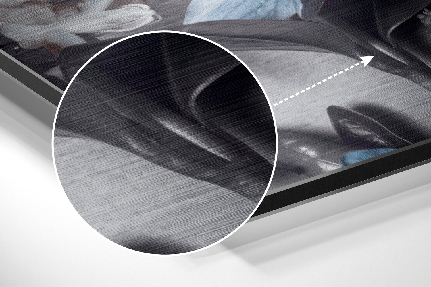 Flowers Brushed Aluminium Dibond Wall Art.