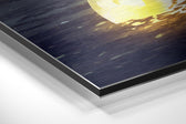 Moon Collector Brushed Aluminium Dibond Wall Art.