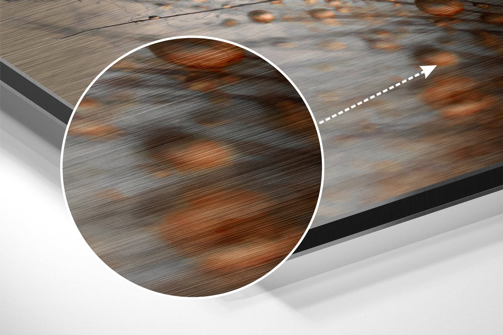 Dandelions Brushed Aluminium Dibond Wall Art.