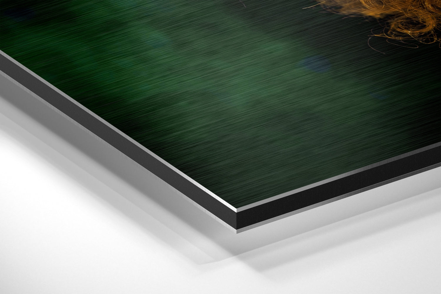 Clown Brushed Aluminium Dibond Wall Art.