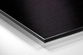 Lion Man Brushed Aluminium Dibond Wall Art.