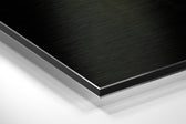 Lion Man Brushed Aluminium Dibond Wall Art.