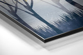Deer of Dreams Brushed Aluminium Dibond Wall Art.