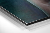 Butterfly Eyes Brushed Aluminium Dibond Wall Art.