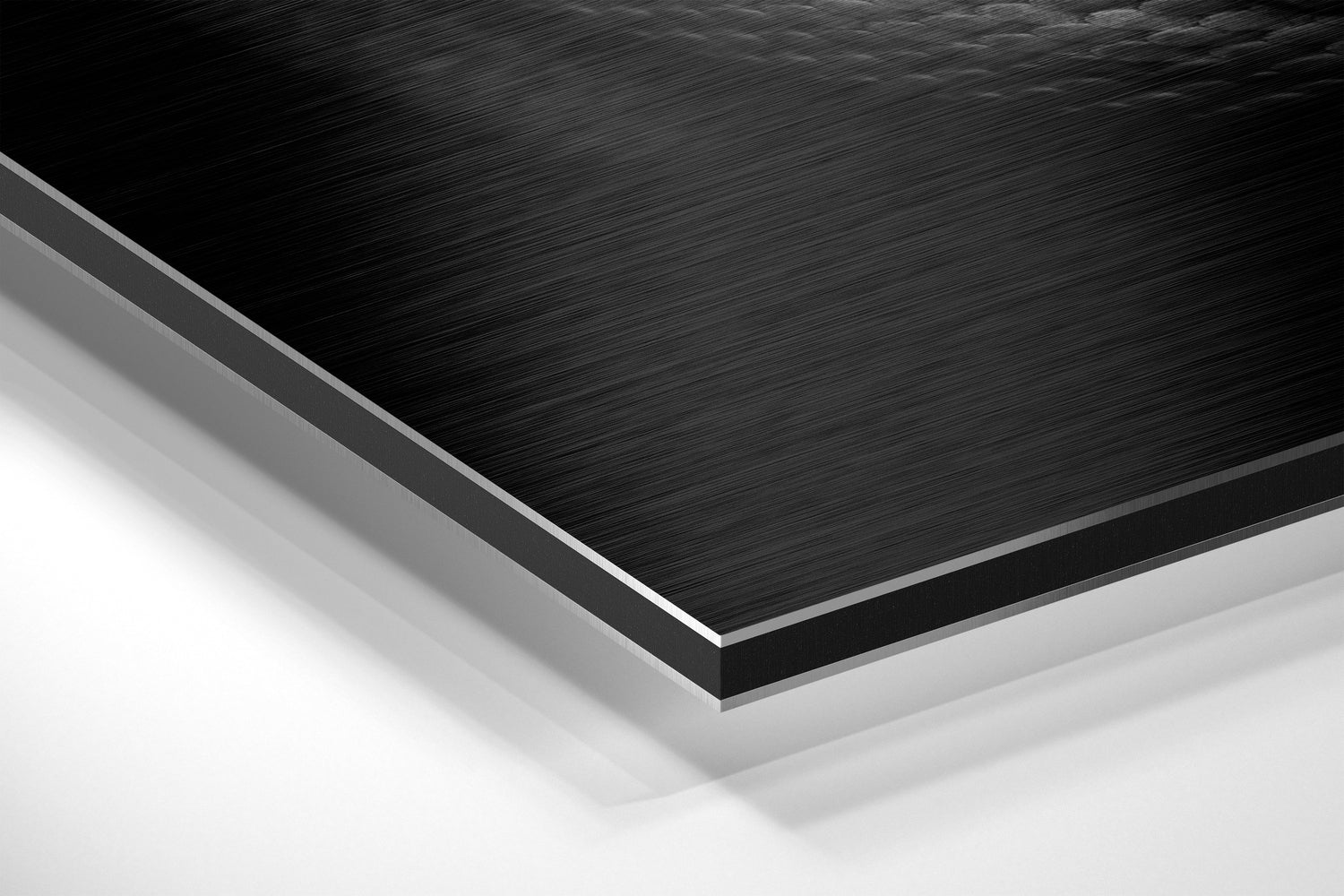 Snake Brushed Aluminium Dibond Wall Art.