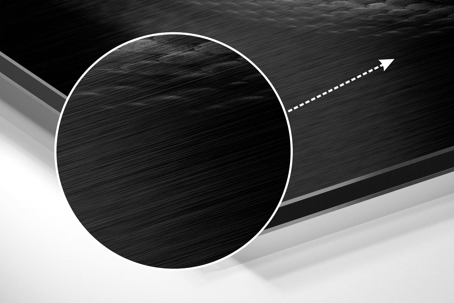 Snake Brushed Aluminium Dibond Wall Art.