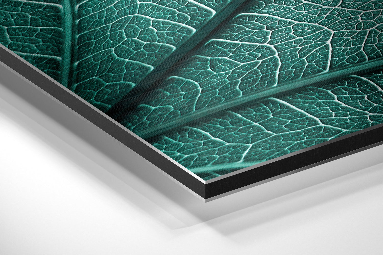 Leaf Brushed Aluminium Dibond Wall Art.