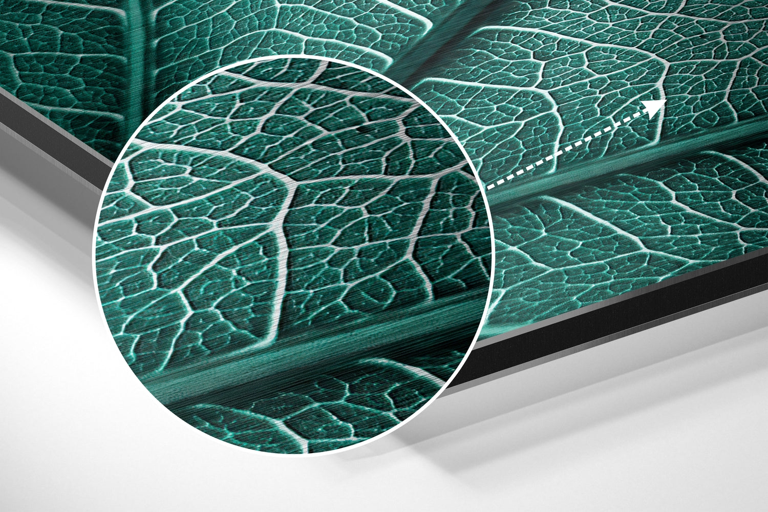 Leaf Brushed Aluminium Dibond Wall Art.
