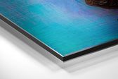Butterfly Brushed Aluminium Dibond Wall Art.
