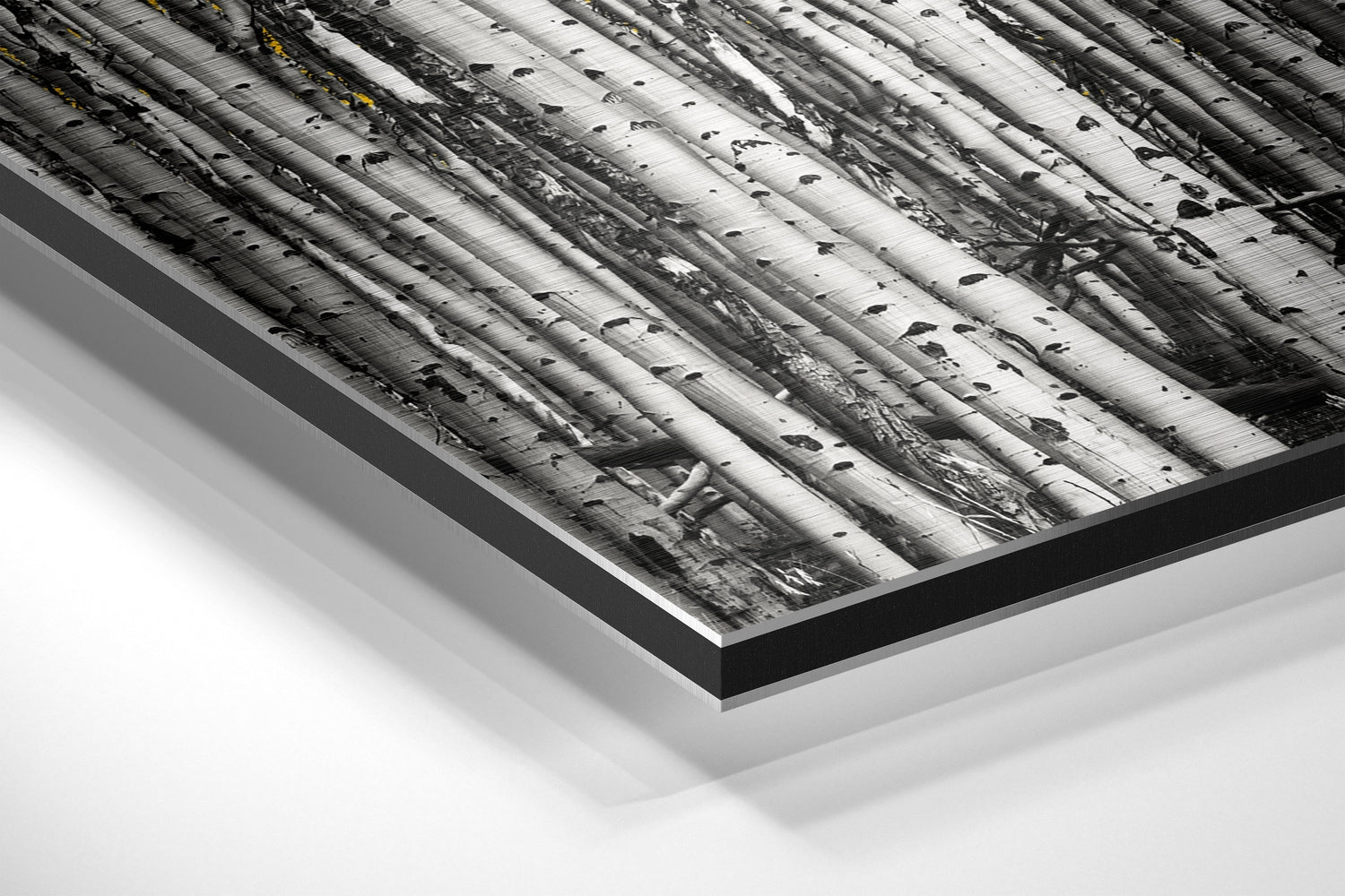 Forest Brushed Aluminium Dibond Wall Art.