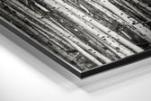 Forest Brushed Aluminium Dibond Wall Art.
