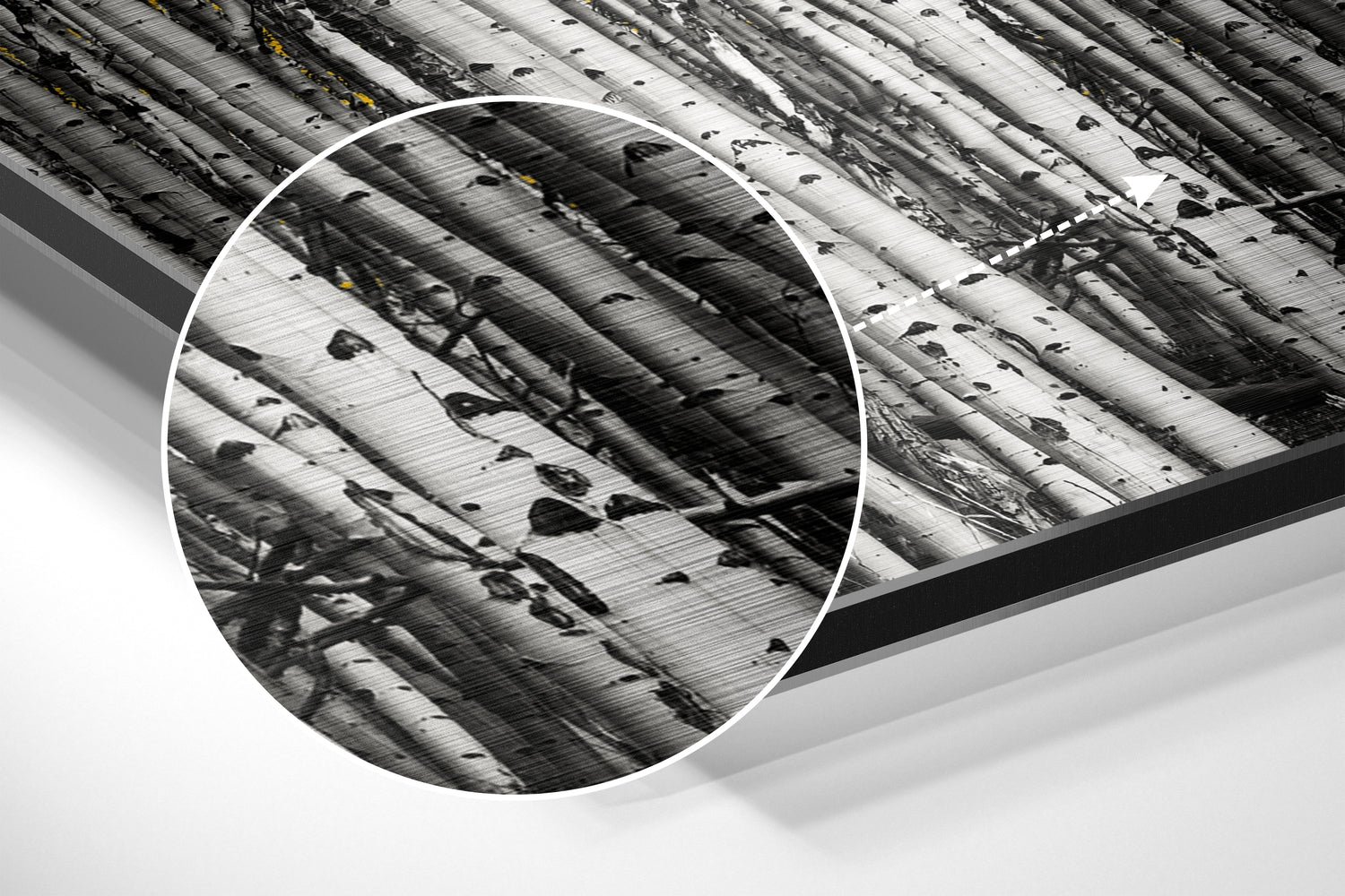 Forest Brushed Aluminium Dibond Wall Art.