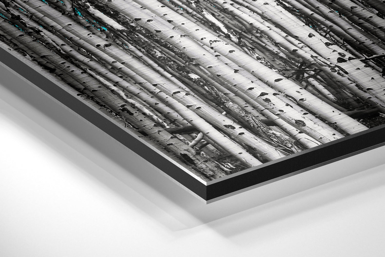 Forest Brushed Aluminium Dibond Wall Art.