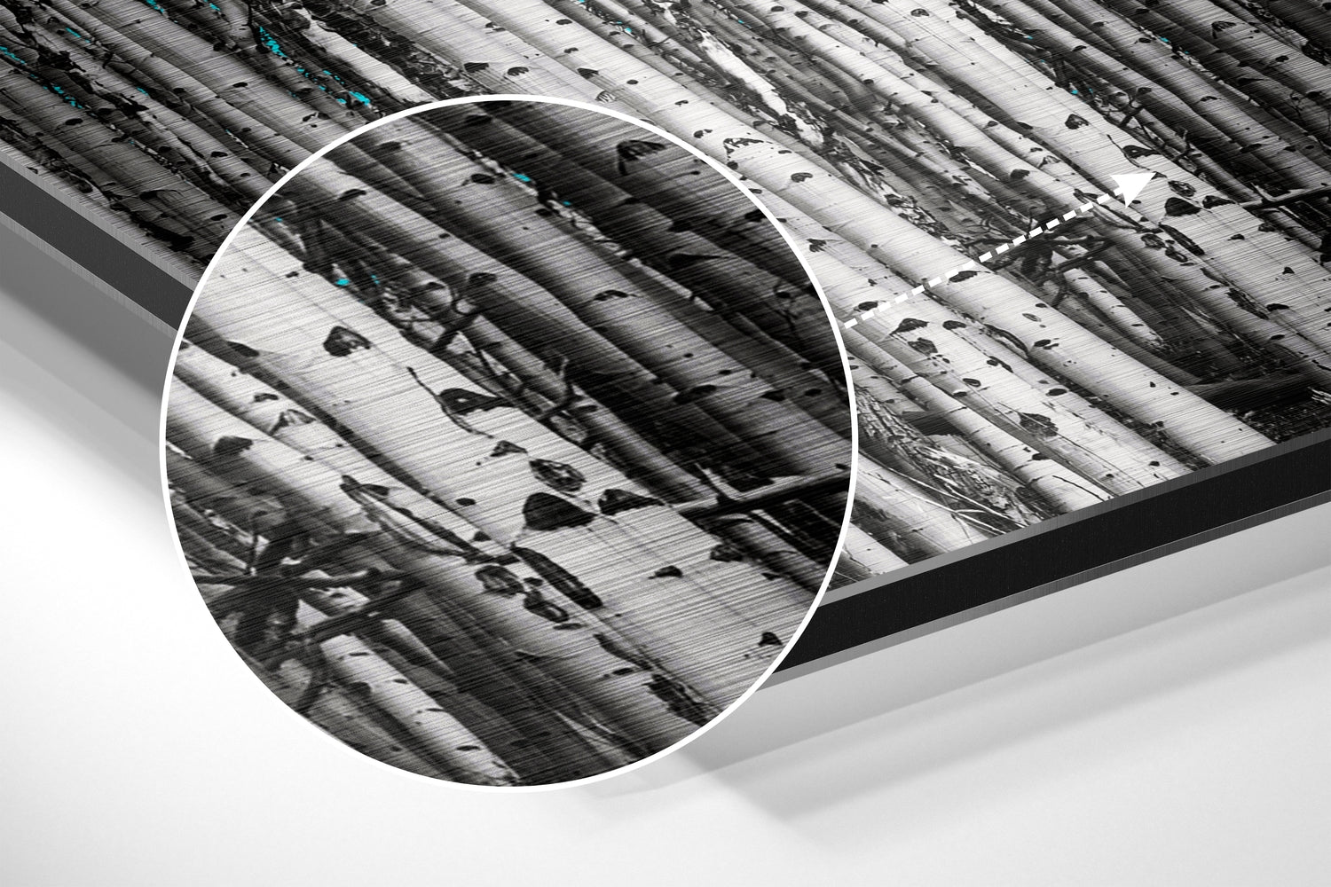 Forest Brushed Aluminium Dibond Wall Art.