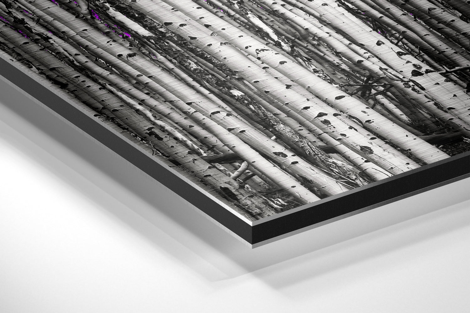 Forest Brushed Aluminium Dibond Wall Art.