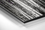 Forest Brushed Aluminium Dibond Wall Art.
