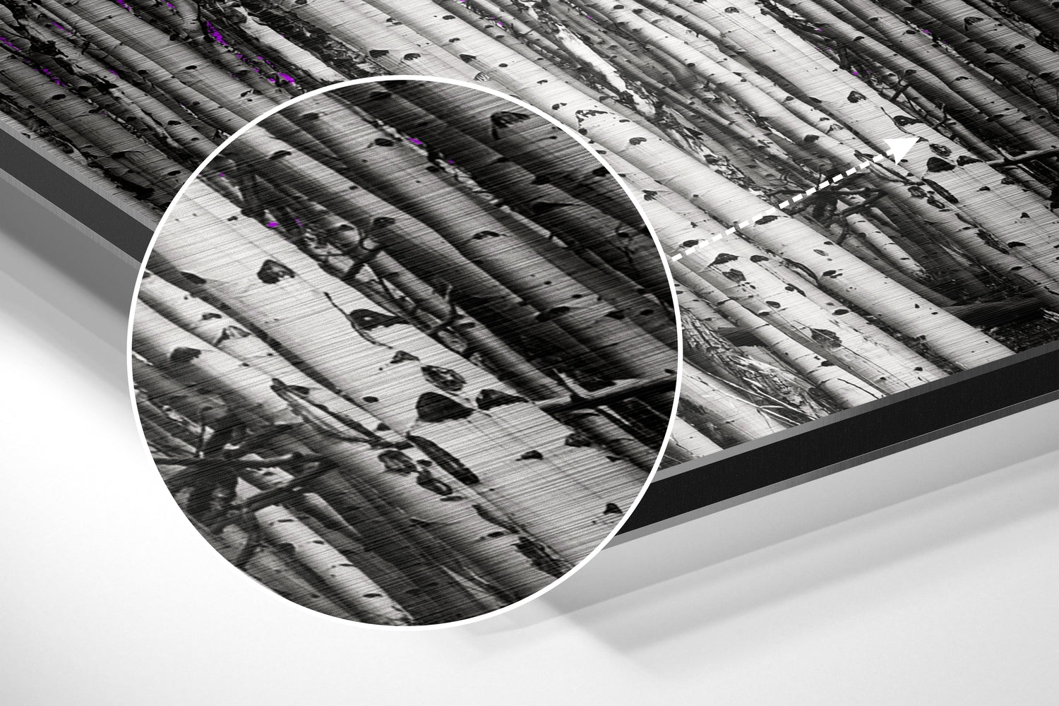 Forest Brushed Aluminium Dibond Wall Art.