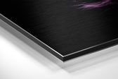 Feather Brushed Aluminium Dibond Wall Art.