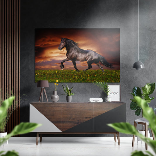 Horse Brushed Aluminium Dibond Wall Art.