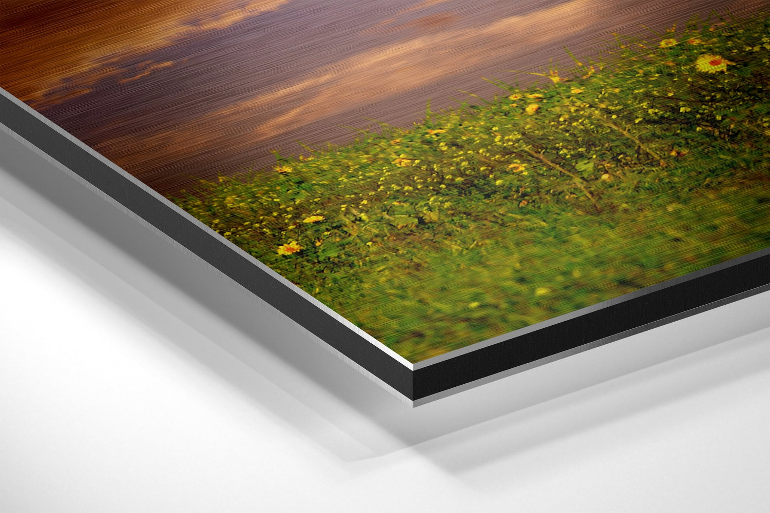 Horse Brushed Aluminium Dibond Wall Art.