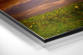 Horse Brushed Aluminium Dibond Wall Art.