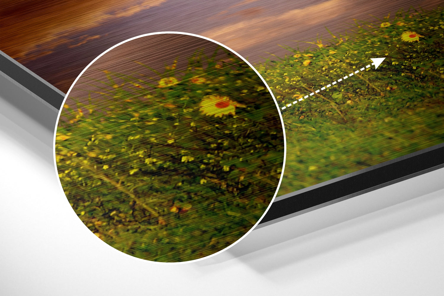 Horse Brushed Aluminium Dibond Wall Art.