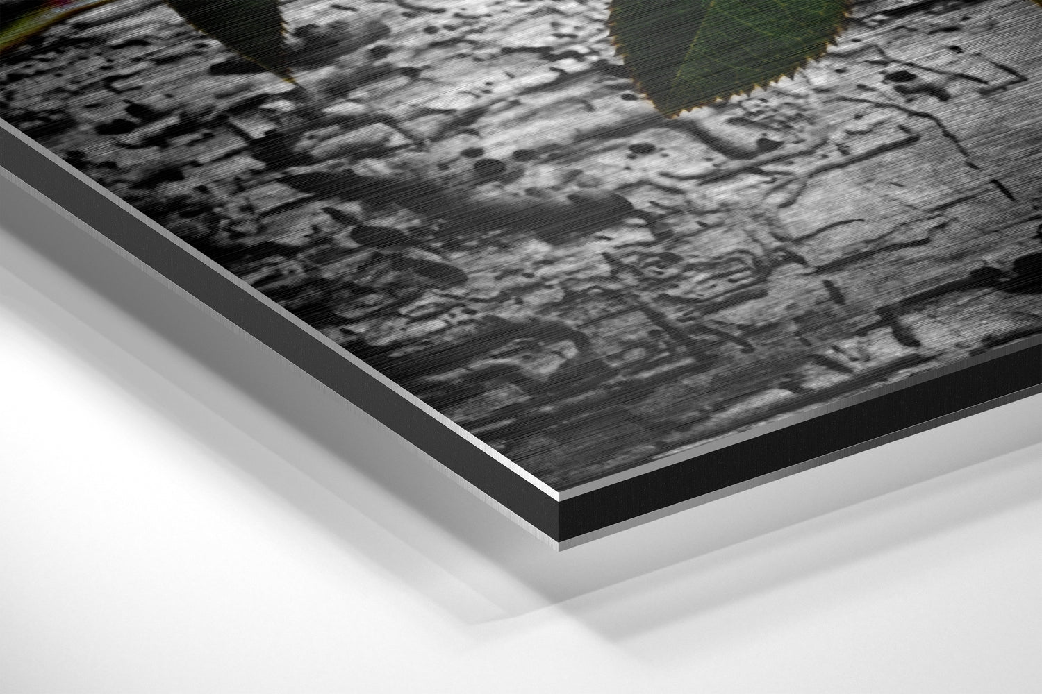 Rose Brushed Aluminium Dibond Wall Art.