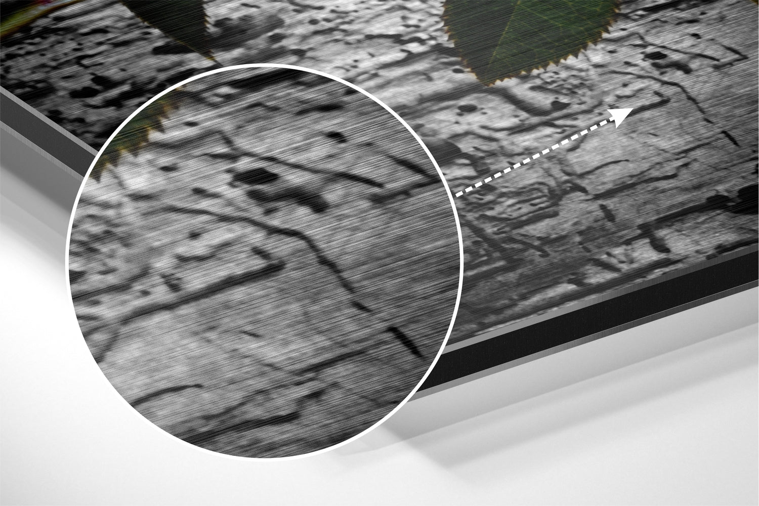 Rose Brushed Aluminium Dibond Wall Art.