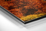Lake View Brushed Aluminium Dibond Wall Art.