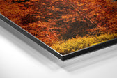Lake View Brushed Aluminium Dibond Wall Art.