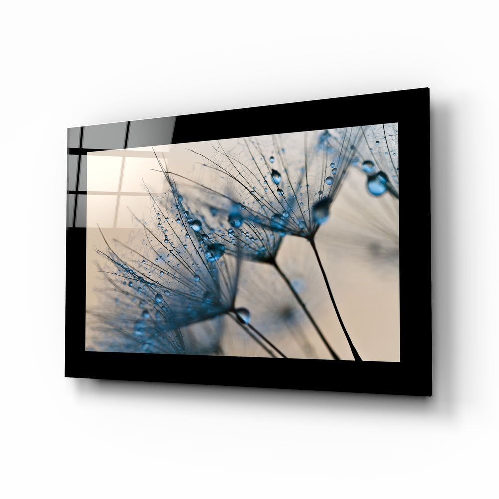 Dandelions glass wall art displayed above a bed in a bedroom