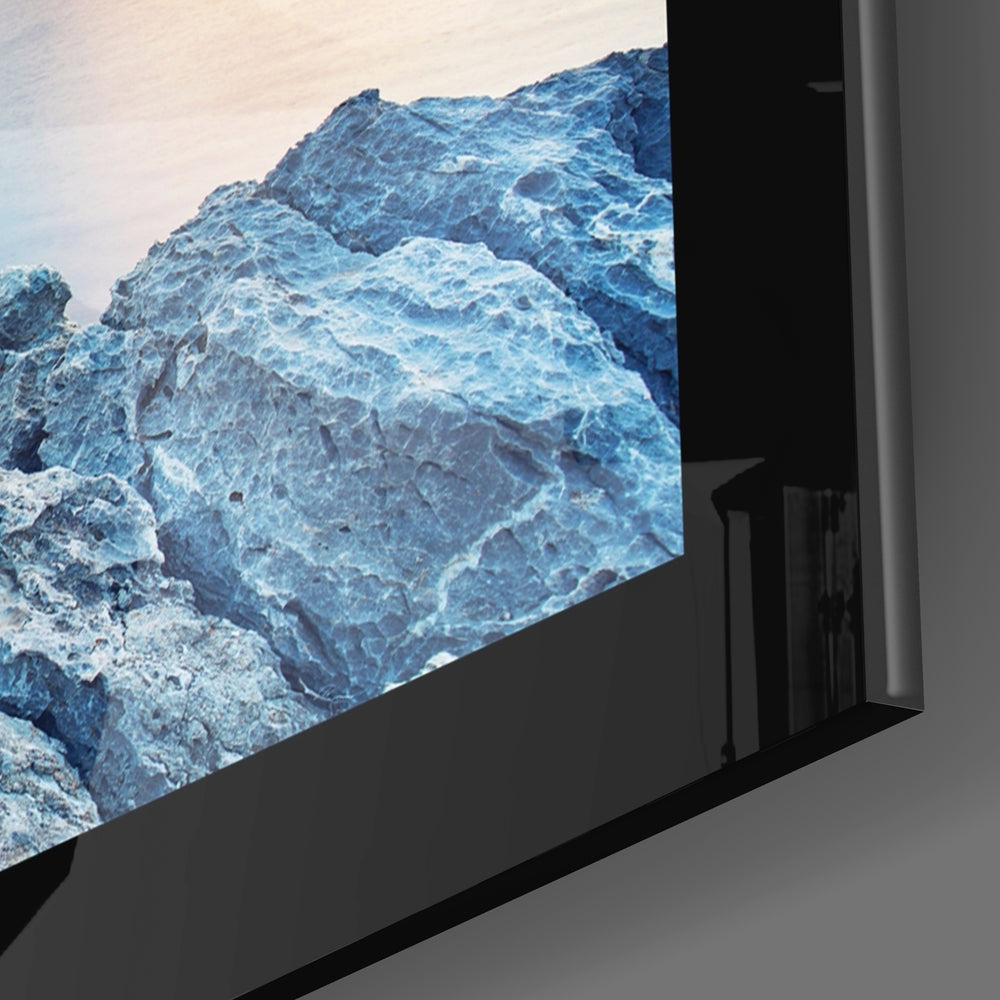 Birds and Reefs Glass Wall Art.