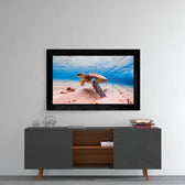 Turtle glass wall art styled above a console in a coastal cottage