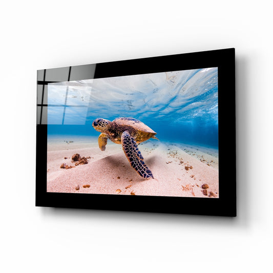 Turtle glass wall art displayed above a bed in a bedroom