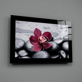 Editorial-photo panel bringing zen calm to a meditation room