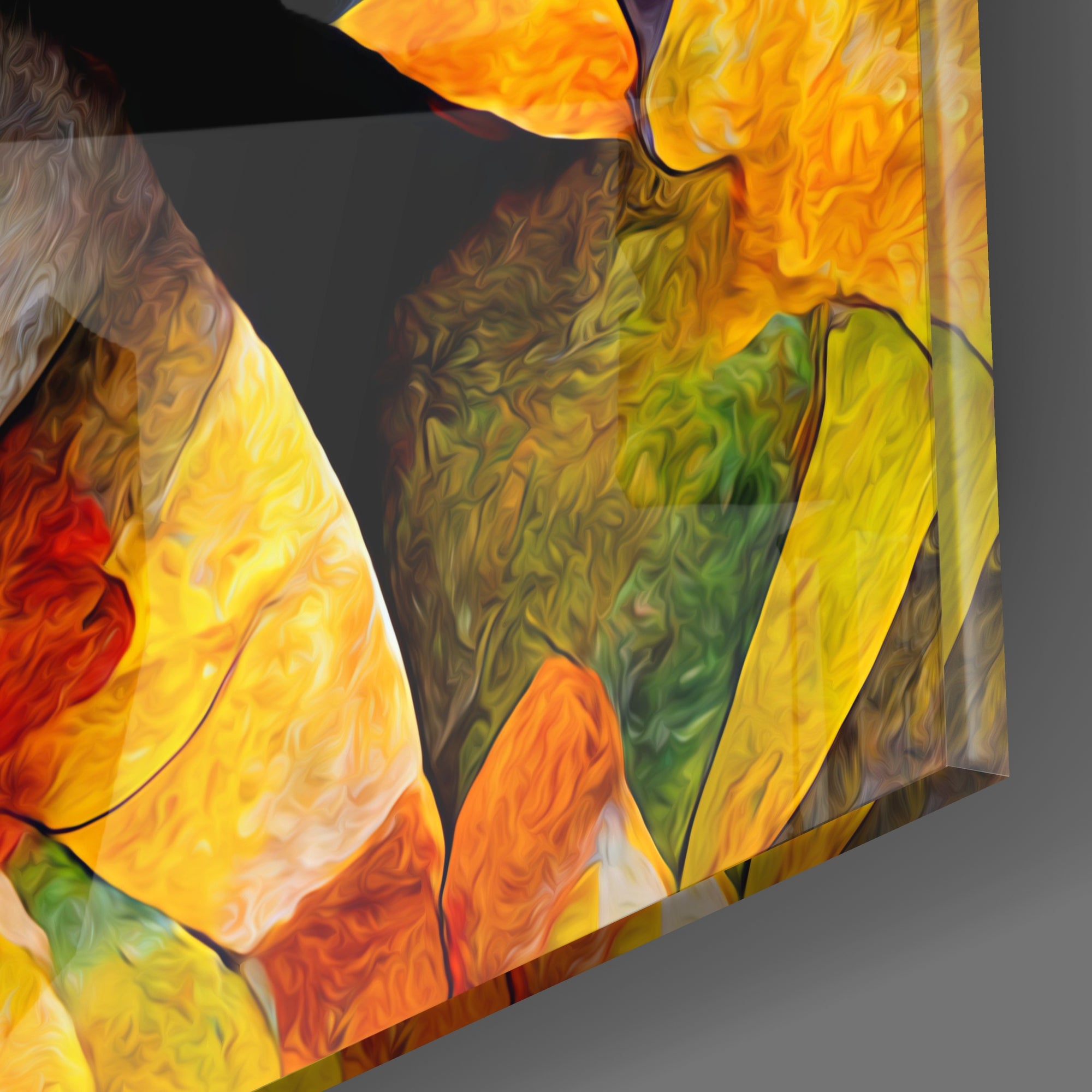 Amigucat Glass Wall Art  || Designers Collection.