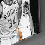 Nba All Star Glass Wall Art.